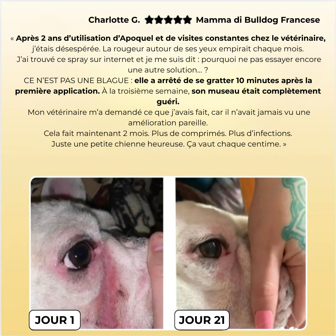 Serena™ Spray pour animaux domestiques