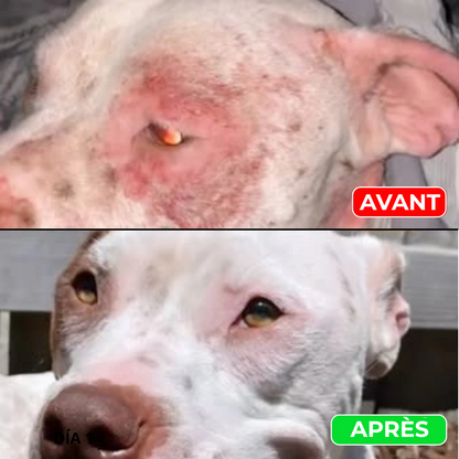 Serena™ Spray pour animaux domestiques