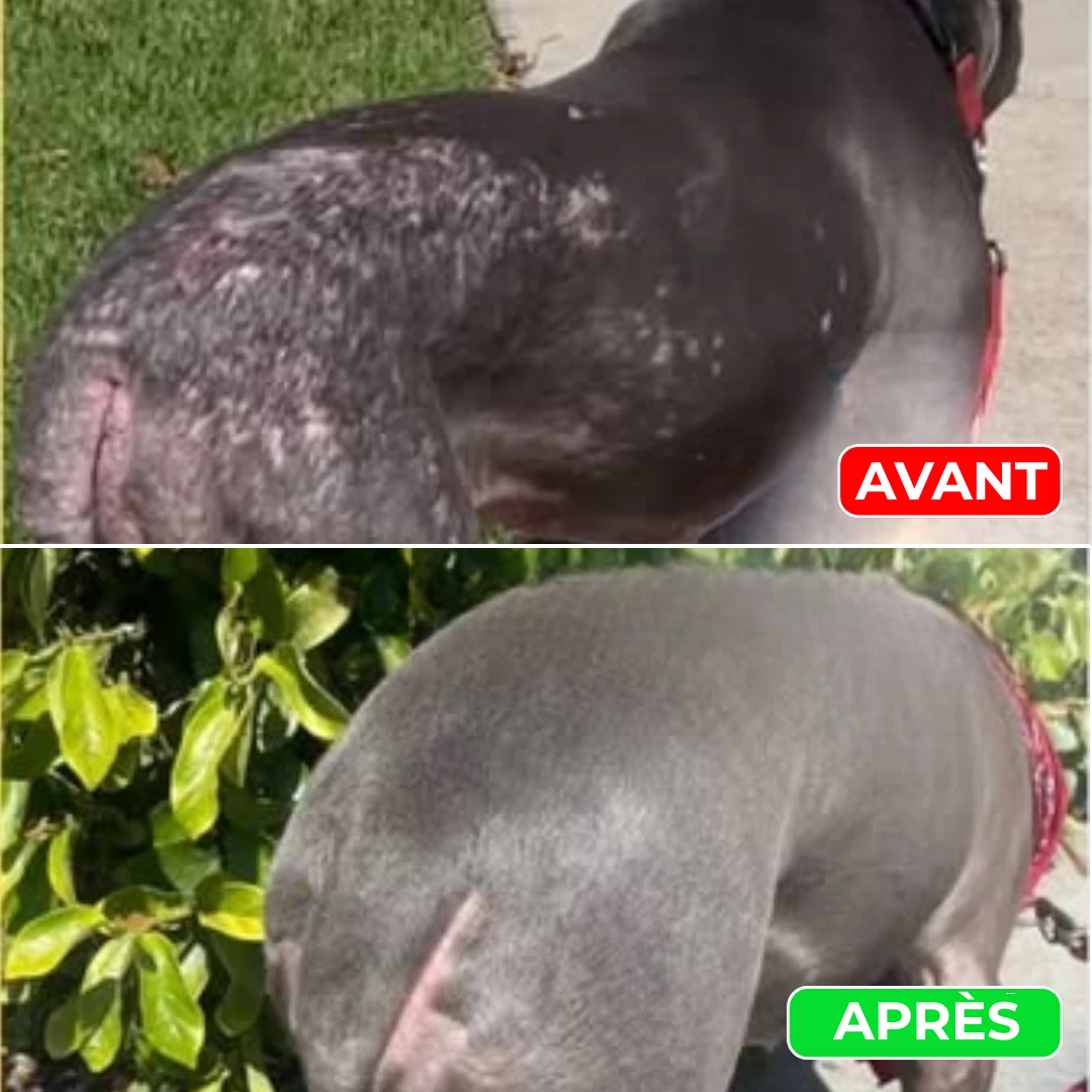 Serena™ Spray pour animaux domestiques