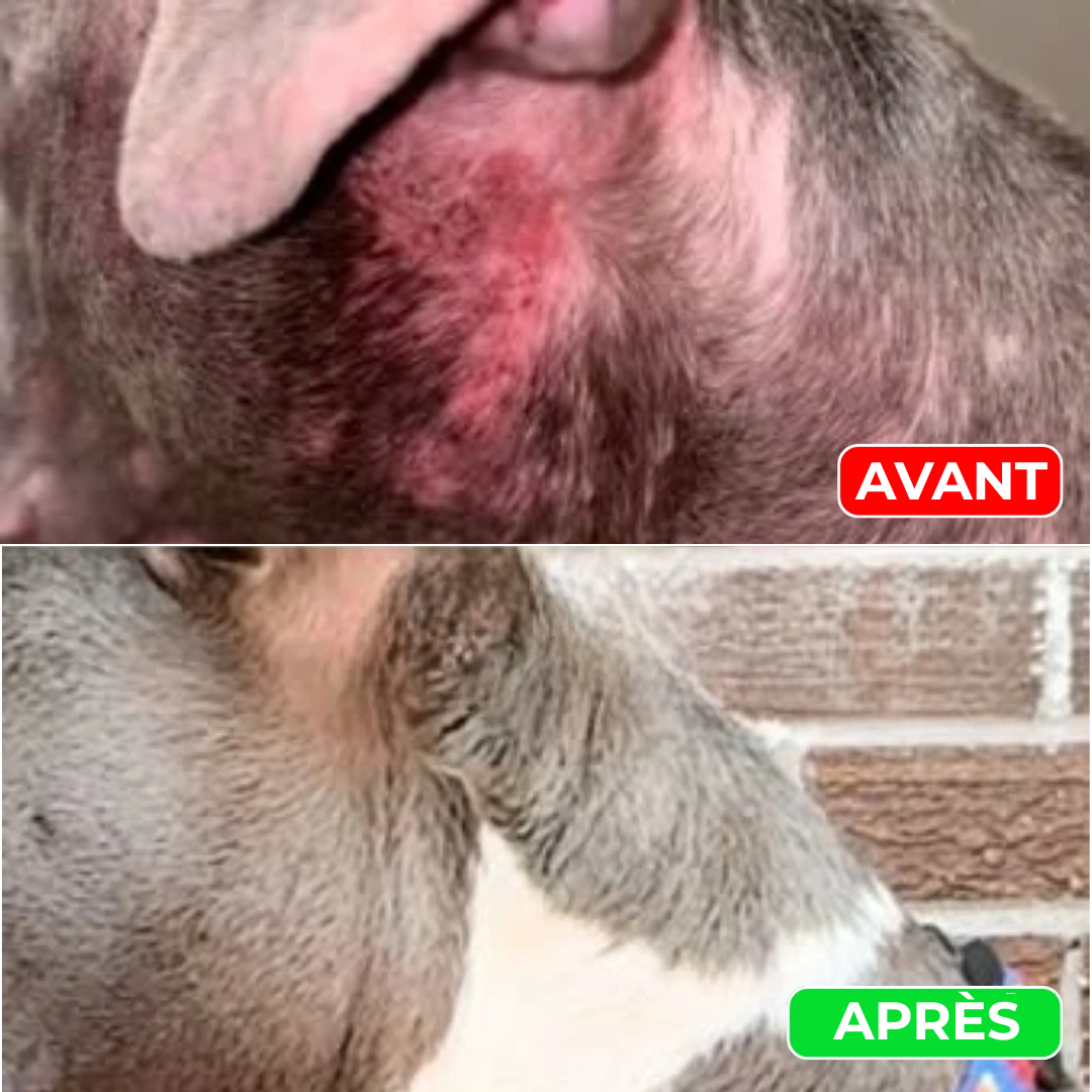 Serena™ Spray pour animaux domestiques